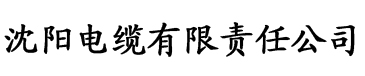 系统宿主被装满日常十年鸽子电缆厂logo